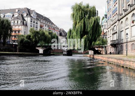 Boat trip on the L'ILL, Strasbourg, Alsace, Tranquil view of a river and pasture in a European city, Strasbourg, Alsace, France Stock Photo