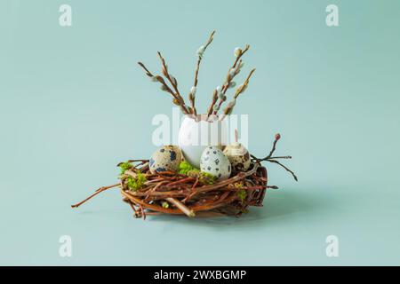 Quail eggs, feathers and willow branches in a nest on a light blue background. Easter background with copy space for text. Stock Photo