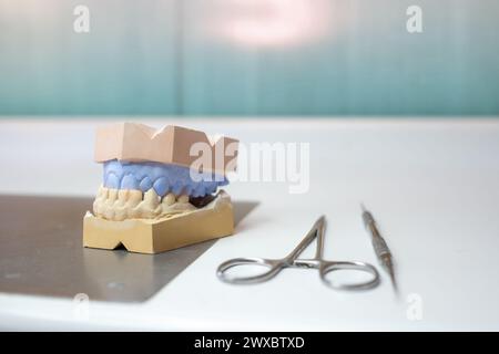 a plaster model for dental prosthesis on a laboratory table with some working tools. It is the upper jaw and the lower jaw in different color paste. Stock Photo