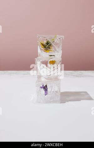 Three ice cubes layout in height with spring flowers on contrast background. Stock Photo