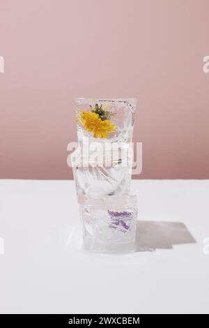 Three ice cubes layout in height with spring flowers on contrast background. Stock Photo
