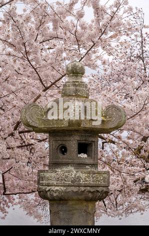 Washington DC – US – Mar 22, 2024 Vertical view of the Japanese Lantern, a granite lantern in West Potomac Park, Washington, D.C. It is located next t Stock Photo