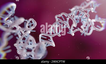 Illustration of an RNA (ribonucleic acid) obelisk. RNA obelisks are viroid-like fragments of RNA that have been found replicating in bacteria in the human mouth and gut. They are formed of single-stranded circular RNA and have a rod-like secondary structure. They code for proteins that are of unknown function. Stock Photo