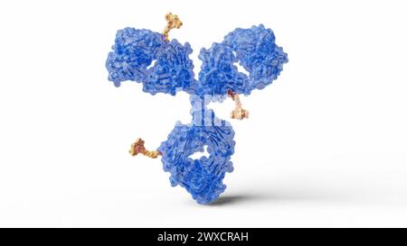 Antibody drug conjugate, illustration Stock Photo - Alamy