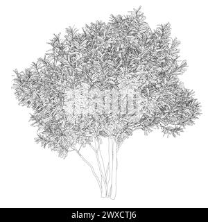 Outline of a detailed large tree made of black lines isolated on a white background. Vector illustration. Stock Vector