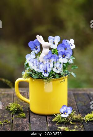 Beautiful white and blue horned pansy flowers in a yellow flowerpot with a little easter bunny decor on garden wooden table. Stock Photo