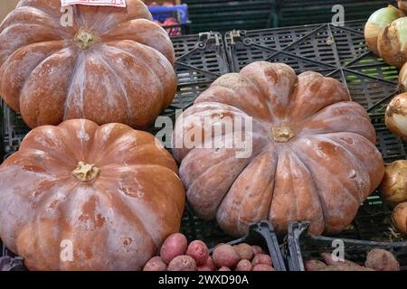 Closeup of pumpkins at a vegetable stall at the Graça market in Ponta Delgada, Azores, Portugal Stock Photo