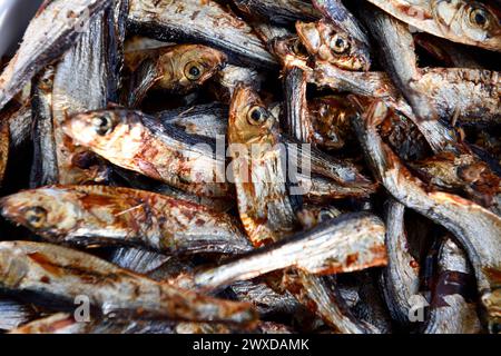 European sprat (Sprattus sprattus) Fish Food Stock Photo