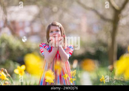 Dudley, West Midlands, UK. 30th Mar, 2024. Four year old Millie Willetts enjoys some spring sunshine among the daffodils in her local park near Dudley, West Midlands. Easter Sunday's forecast is sunny spells with some rain possible in northern parts of the UK. Credit: Peter Lopeman/Alamy Live News Stock Photo