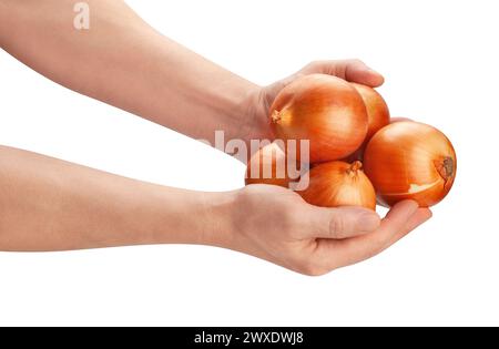 onion in hand path isolated on white Stock Photo