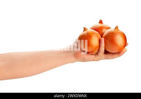 onion in hand path isolated on white Stock Photo