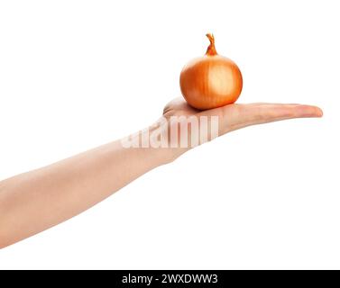 onion in hand path isolated on white Stock Photo
