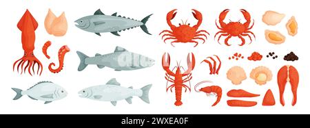 Seafood . Vector of mussels, clam, oyster. Fish salmon, trout, tuna, dorado. Shrimp, squid, octopus tentacles, lobster, crab and crayfish. Red and Stock Vector