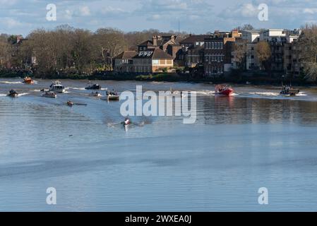 Chiswick Bridge, Chiswick, London, UK. 30th Mar, 2024. The finish line of the University Boat Race is just before Chiswick Bridge on the River Thames. The Cambridge v Oxford event consists of the Women’s Boat Race, Women’s Reserves race, Men’s Reserves, and the Men’s Boat Race. The rowers have been warned against entering the water due to high levels of E. Coli bacterium. Cambridge won both the men’s and women’s event. Cambridge and Oxford boats of the Women's race approaching finish, with officials, media and support vessels Stock Photo