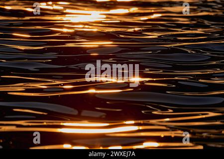 Gilded Ripples Dance Upon Molten Waters Stock Photo