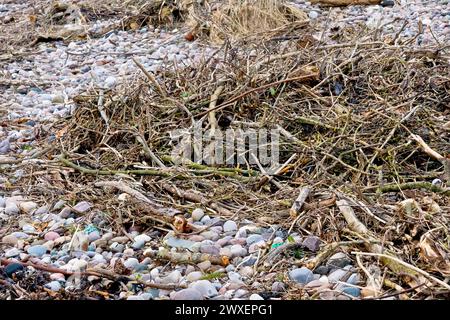 Close up of a tangled mass of driftwood washed up on a pebble beach after an intense winter storm, comprising mostly of small branches and twigs. Stock Photo