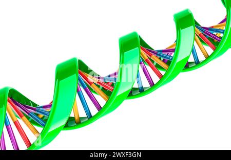 DNA spiral, 3D rendering isolated on white background Stock Photo