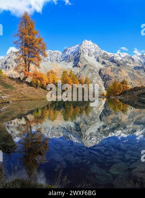 Panorama of Lac Bleu of Arolla lake in Canton Valais in colorful autumn season with reflection of Dent de Veisivi and Dent di Perroc peaks. Stock Photo
