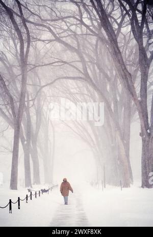 Lone pedestrian braves a winter snow storm on the campus of Pennsylania State University, State College, Pennsylvania; USA Stock Photo