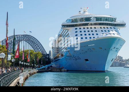 Ovation of the Seas cruise ship berthed in front of harbour bridge in Sydney, New South Wales, Australia, Tuesday, March 12, 2024.Photo: David Rowland Stock Photo