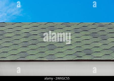 Green mosaic tile roof house structure exterior abstract building home pattern design object blue sky background. Stock Photo