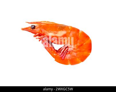 Top view of red cooked prawn is isolated on white background with clipping path. Stock Photo