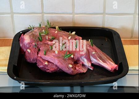 An uncooked leg of lamb in a roasting tray. Stock Photo