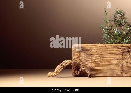 Abstract composition of old wooden plank and juniper branch. Neutral beige background for cosmetic, beauty product branding, and spa concept. Natural Stock Photo