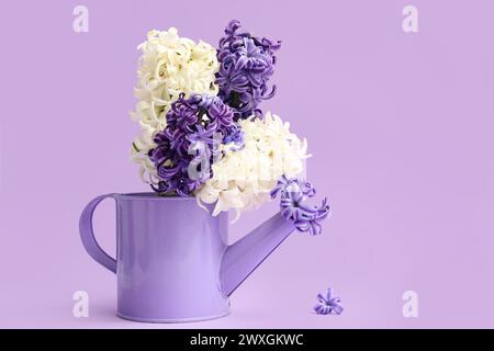 Beautiful hyacinth flowers in watering can on lilac background Stock Photo