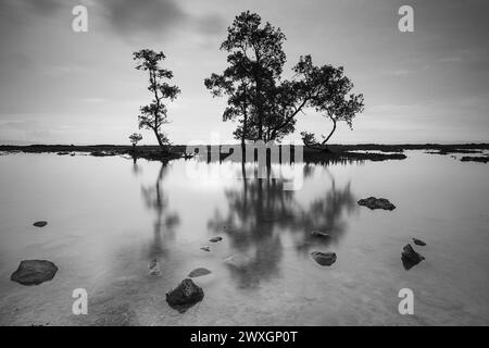 A scenic view of sunset at Carita Anyer Banten in grayscale Stock Photo