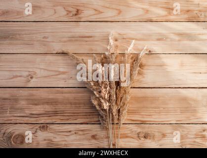 Dry reed on a wooden background Stock Photo