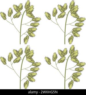 Seamless pattern from the top of wild field grass. Vector illustration. Stock Vector