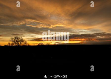 Sunset behind trees with cloudy sky on a wintry day Stock Photo