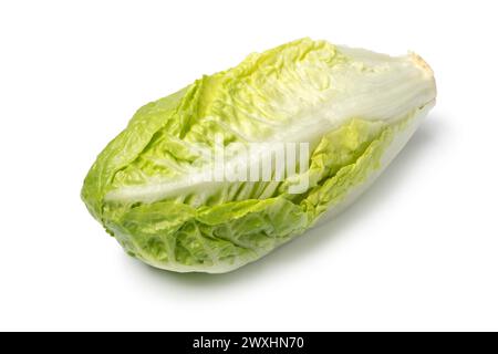 Little whole fresh raw Romaine lettuce isolated on white background close up Stock Photo