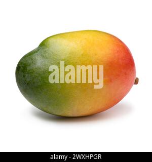 Single colorful mango isolated on white background close up Stock Photo