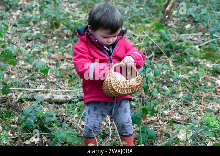 Easter egg hunt children child with basket of chocolate Easter eggs  in Carmarthenshire Wales March garden 2024 UK Great Britain KATHY DEWITT Stock Photo