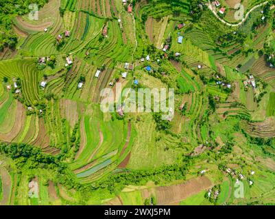 Aerial drone of terraces with farmland on the slopes of the hills in the highlands. Negros, Philippines Stock Photo