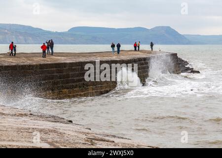 Lyme Regis, Dorset, UK. 31st March 2024. UK weather: cool day with an occasional glimpse of sunshine at Lyme Regis on Easter Sunday. Visitors walk along the Cobb. Credit: Carolyn Jenkins/Alamy Live News Stock Photo