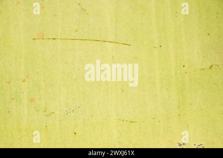 Colorful weathered faded paint sheet metal closeup as grunge yellow green metal background Stock Photo