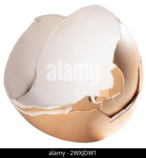 Beige colored egg shell from a free range and organic chicken broken open. Stock Photo