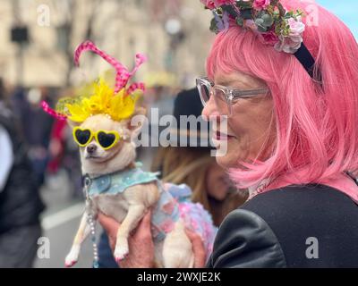 New York City, United States. 31st March, 2024. Dogs are dressed up for the annual Easter Parade and Bonnet Festival along Fifth Avenue on Easter Sunday in New York City. Credit: Ryan Rahman/Alamy Live News Stock Photo