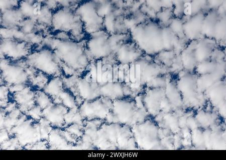 Fluffy white clouds and blue sky. Looking straight up. Stock Photo