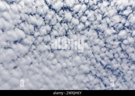 Fluffy white clouds and blue sky. Looking straight up. Stock Photo