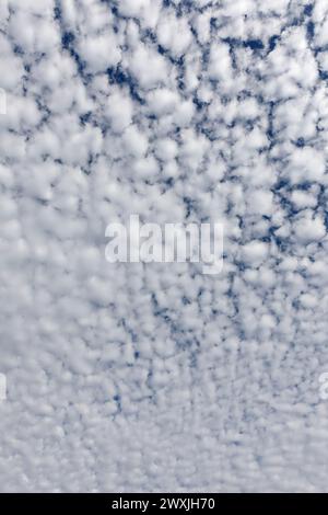 Fluffy white clouds and blue sky. Looking straight up. Stock Photo