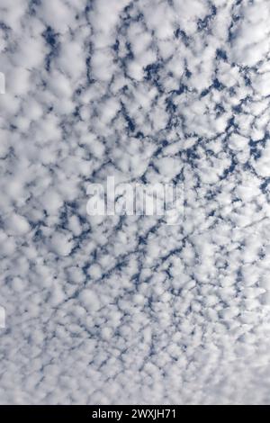 Fluffy white clouds and blue sky. Looking straight up. Stock Photo