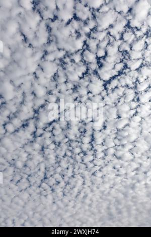 Fluffy white clouds and blue sky. Looking straight up. Stock Photo
