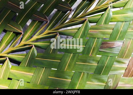 Wicker rug made of fresh coconut palm leaves, natural abstract background photo Stock Photo