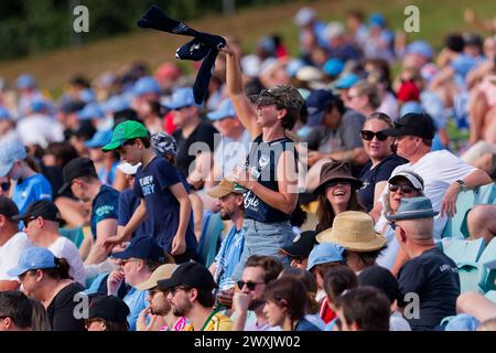 Sydney, Australia. 31st Mar, 2024. Melbourne Victory fans show their support during the A-League Women Rd22 match between Sydney FC and Melbourne Victory at Leichhardt Oval on March 31, 2024 in Sydney, Australia Credit: IOIO IMAGES/Alamy Live News Stock Photo