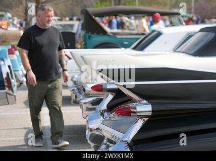 United States. 31st Mar, 2024. A visitor to the Concours d' Elegance Horseless Carriage Club Annual Easter Day Car show walks between the 1960's Cadillacs with big rear fins on display in Forest Park on Sunday in St. Louis on March 31, 2024. Photo by Bill Greenblatt/UPI Credit: UPI/Alamy Live News Stock Photo