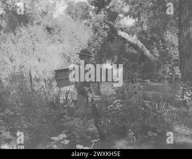 Pigeon Section, Signal Corps. Soldier fully equipped with a basket of pigeons ca. probably 1917-1919 Stock Photo